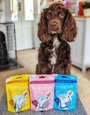 Forthglade Banana & Honey Natural Soft Bites for Dogs 90g