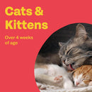 Bob Martin Conditioning Tablets for Cats – 100 Tablets