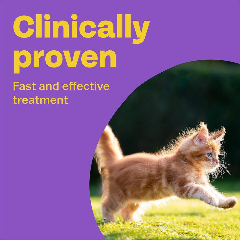 Bob Martin Clear 2 in 1 Wormer Tablets for Cats & Kittens