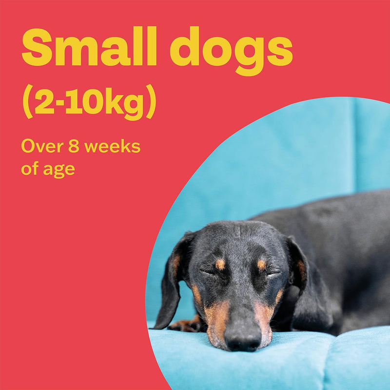 Bob Martin Clear Plus Spot-On for Small Dogs – 3 Pipettes