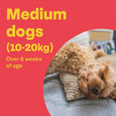 Bob Martin Clear Spot-On for Medium Dogs – 3 Pipettes