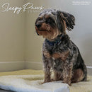 Ancol Self Heating Pet Pad Medium 64 x 49cm