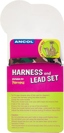 Ancol Ferret Harness and Lead Set
