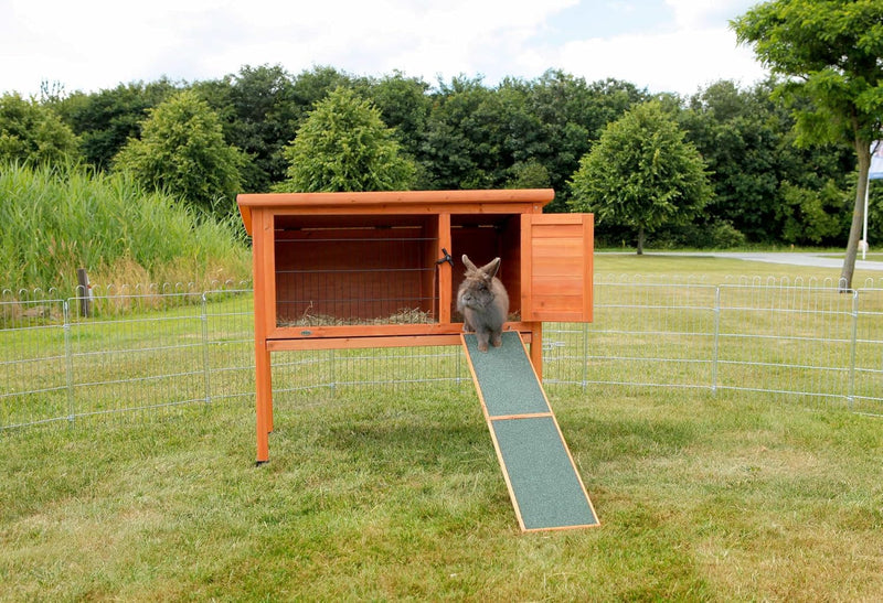 Trixie Natura Ramp for for Small Animals Cages and Hutches