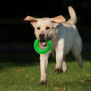 Nerf Green Beef Scentology Solid Core Ring Dog Toy