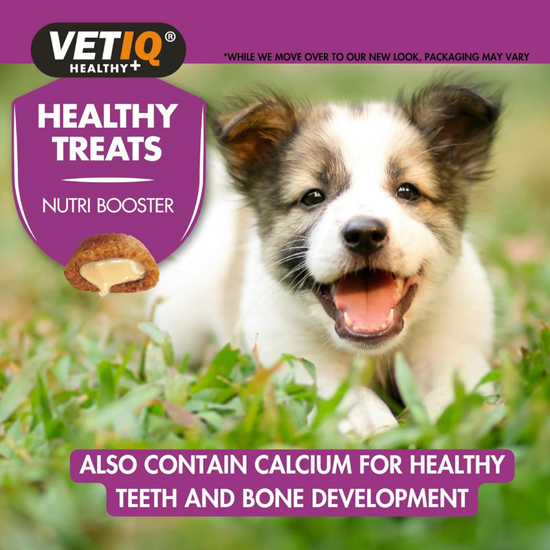 VetIQ Healthy Treats Nutri-Booster Dog Treats