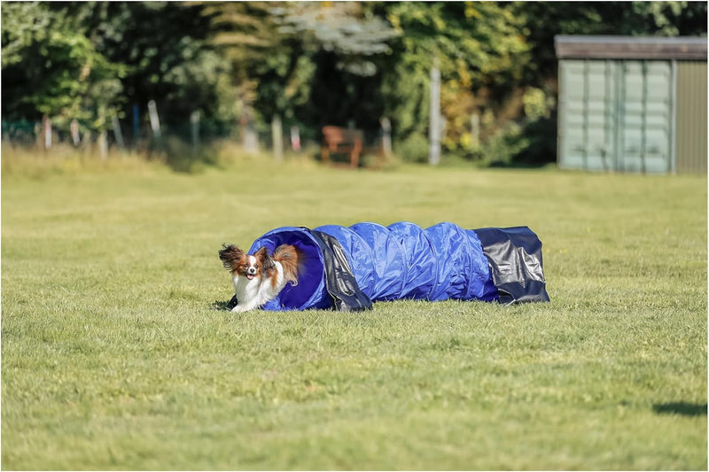 Trixie Dog Activity Agility Tunnel