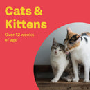 Bob Martin Clear 2 in 1 Wormer Tablets for Cats & Kittens