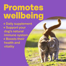 Bob Martin Conditioning Tablets for Cats – 100 Tablets
