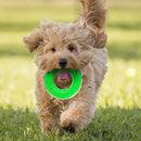 Nerf Green Beef Scentology Solid Core Ring Dog Toy