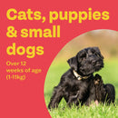 Bob Martin Clear Flea Tablets for Cats – 3 Tablets