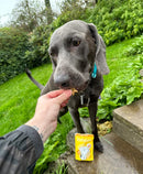 Forthglade Banana & Honey Natural Soft Bites for Dogs 90g