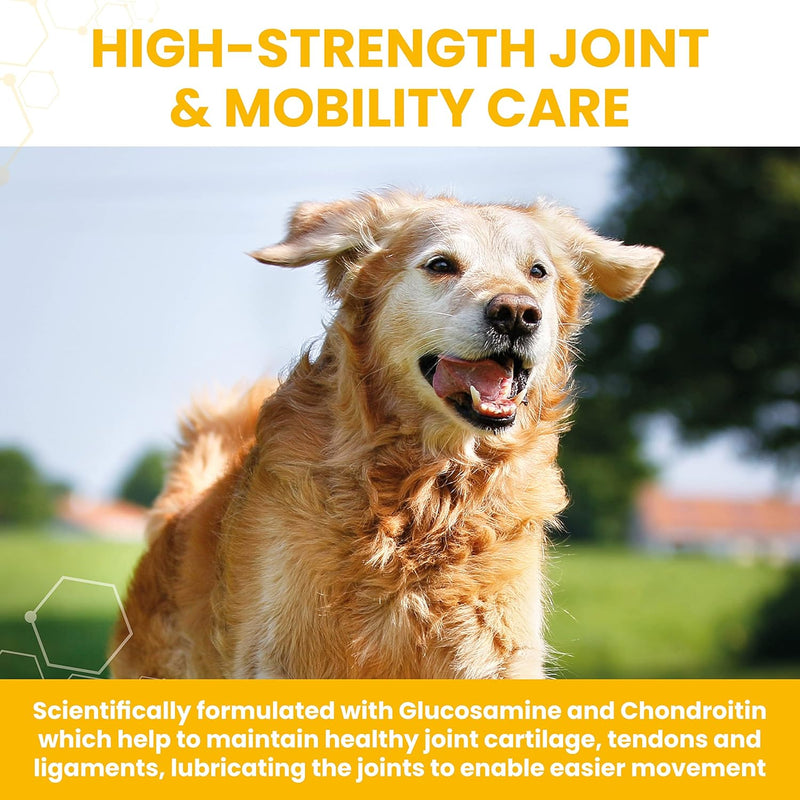 Vetzyme High Strength Flexible Joint Tablets for Senior Dogs