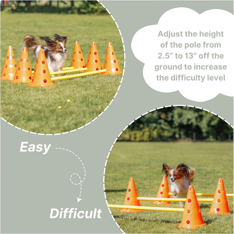 Trixie Dog Agility Obstacle Course