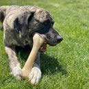 Nylabone Extreme Big Bone XXL Chicken