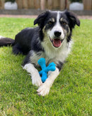Nylabone X-Bone Extreme Tough Dog Chew Toy - Large