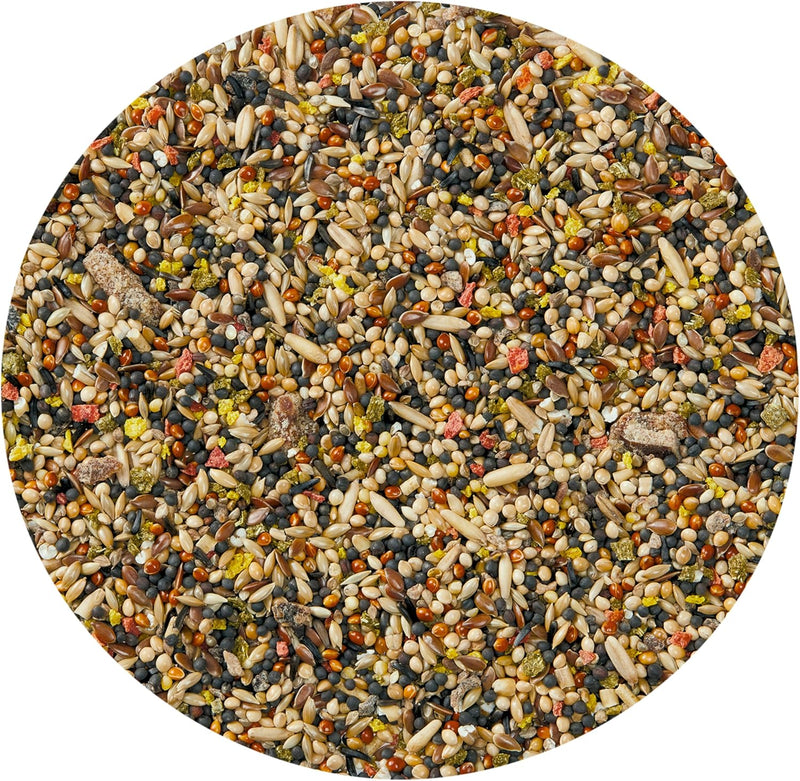 Vitakraft Fruit Cocktail Canary Seed 200g