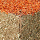 Rosewood Edible Carrot Top Cottages