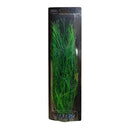 Betta Choice 40cm Green Plastic Plant