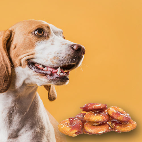 Trixie Premio Lamb & Chicken Bagels for Dogs