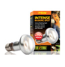 Exo Terra Intense Basking Spot Lamp