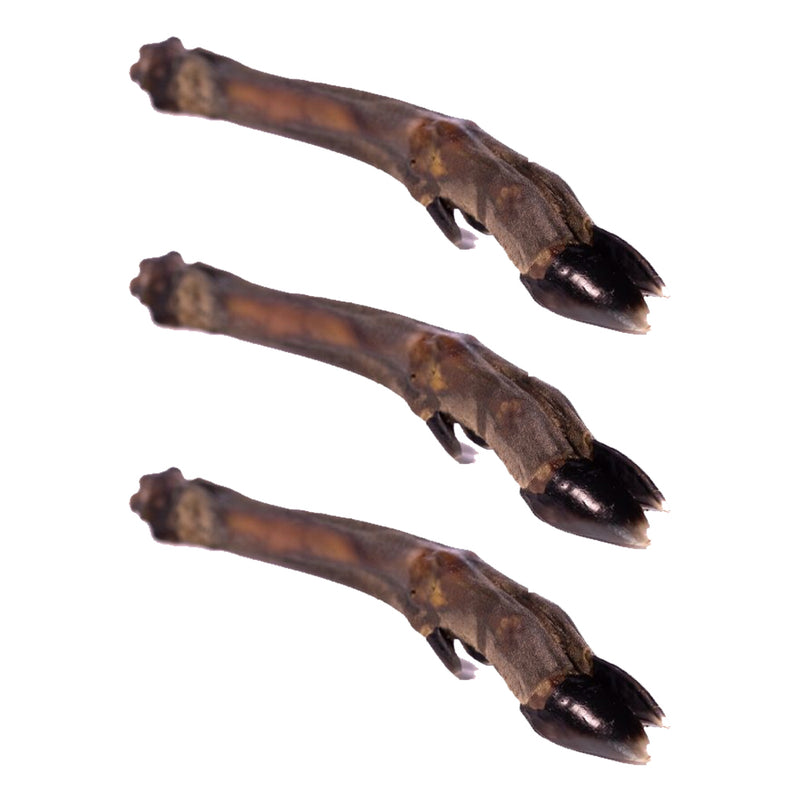 Natural Choice Treats Skinless Roe Deer Legs