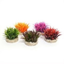 Sydeco Nano Fiesta Grass