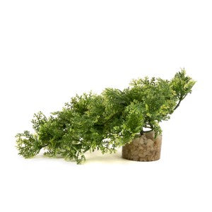 Sydeco Tropical Moss
