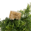 Sydeco Tropical Moss