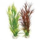 Sydeco Wild Mountain Plastic Plant