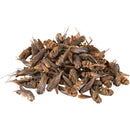 Trixie Reptiland Dried Crickets