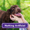 Waggys Dog Chocolate Drop Buttons - 1kg