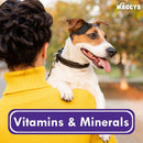 Waggys Dog Chocolate Drop Buttons - 1kg