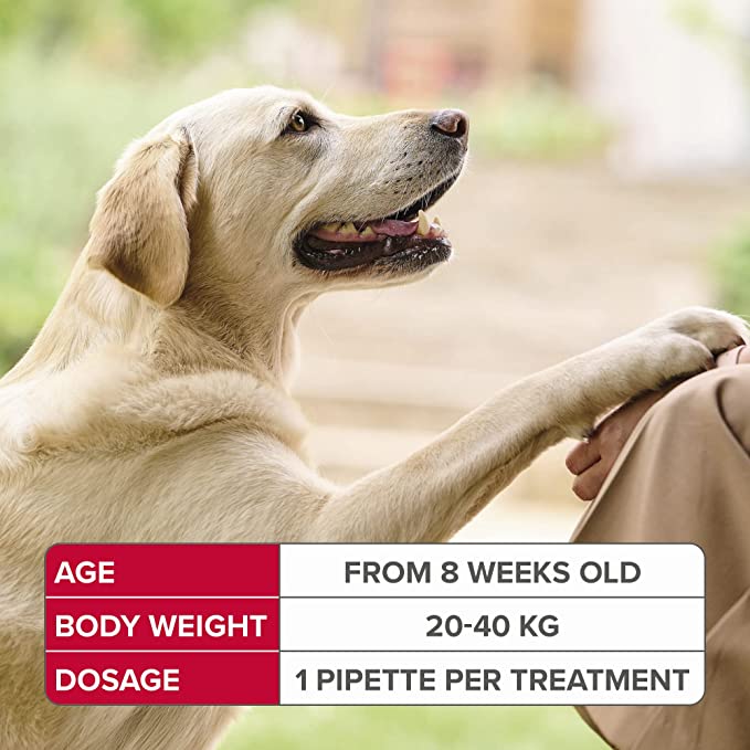 Beaphar FIPROtec Spot On Flea & Tick Treatment for Large Dogs