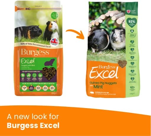 Burgess Excel Guinea Pig Nuggets With Mint