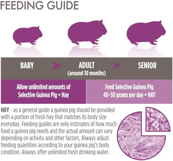 Science Selective Balanced Guinea Pig Food