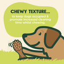 Good Boy Chompers Medium Dental Toothbrush