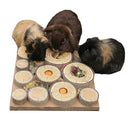 Rosewood Maze-a-Log Treat Challenge