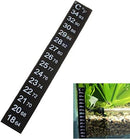 Betta LCD Thermometer