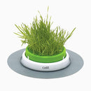 Catit Senses 2.0 Cat Grass Planter
