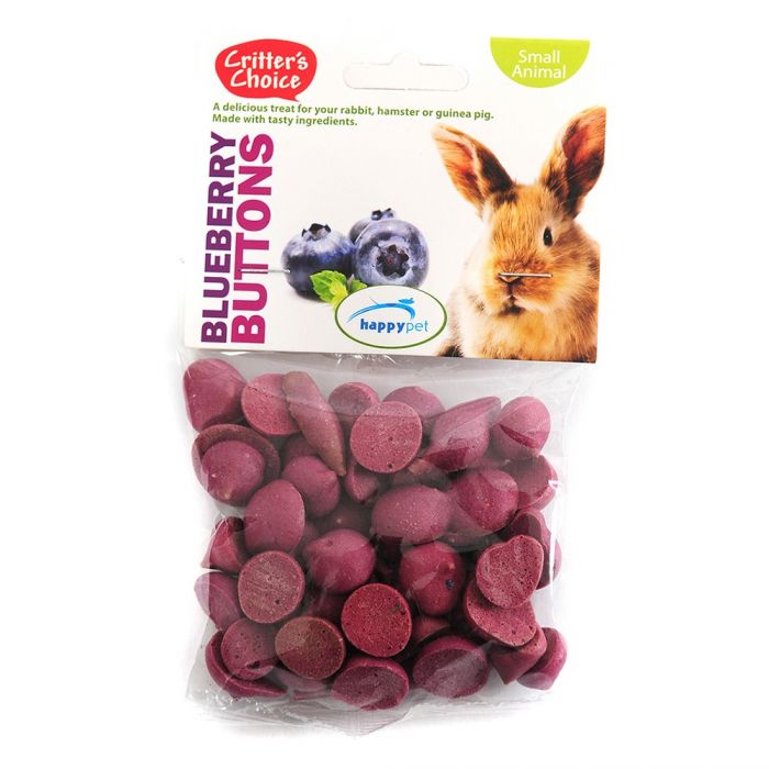 Critters Choice Blueberry Buttons 40g Small Animal Treats