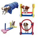 Rosewood Small Dog Agility Training Equipment