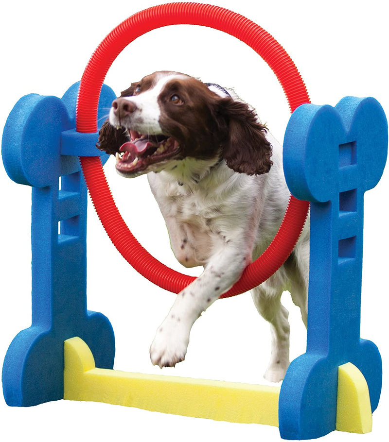 Rosewood Small Dog Agility Training Equipment