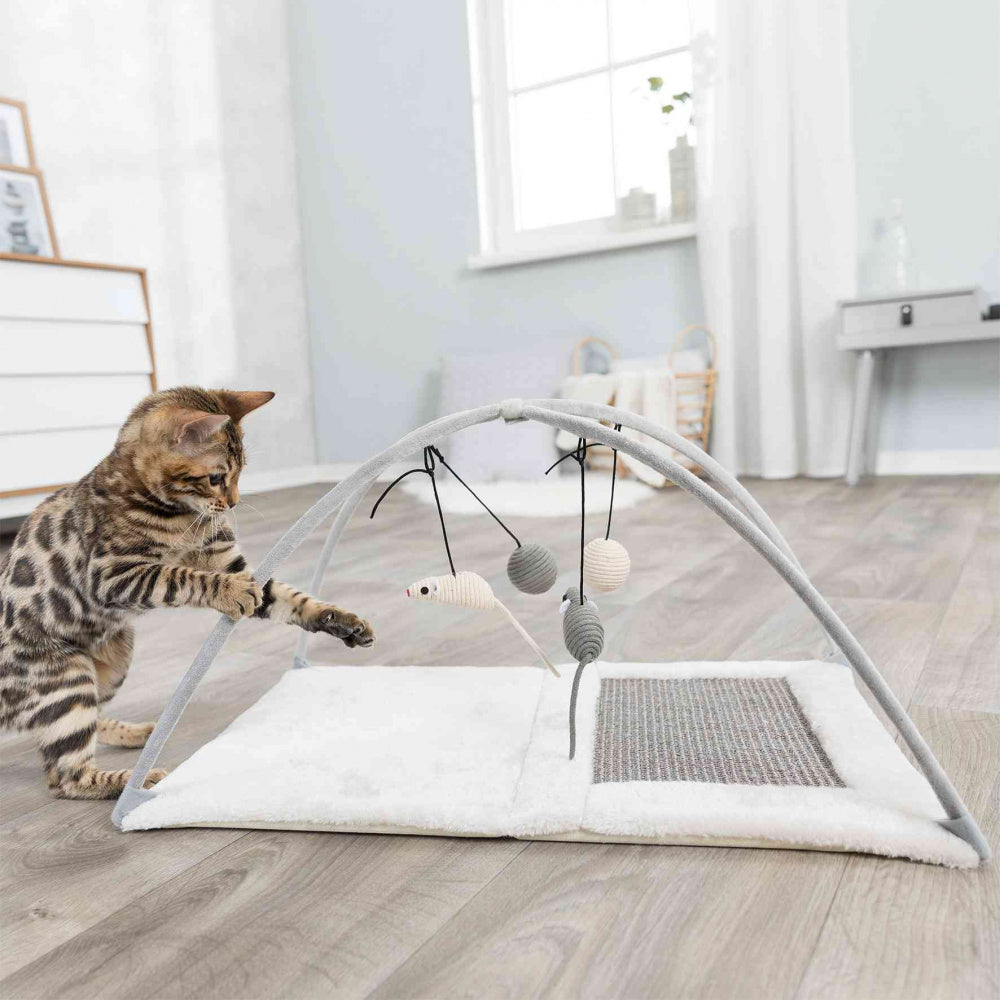 Trixie Junior Scratching Mat Light Grey for Cats