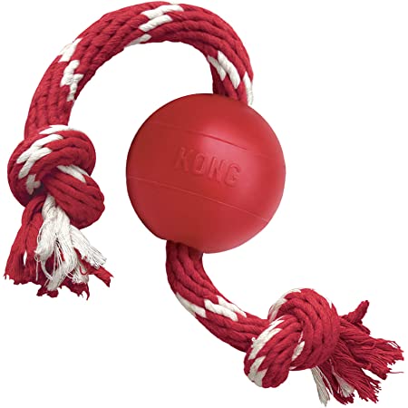 Kong Ball & Rope Dog Toy