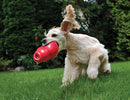 Kong Bounzer Dog Toy