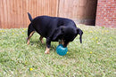 Rosewood BioSafe Ball Puppy Toy Blue
