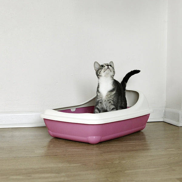 Rosewood Birba Large Cat Litter Tray With Rim