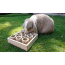 Rosewood Boredom Breaker Hide n Treat Forage Tray