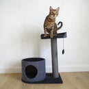 Rosewood Catwalk Collection Charcoal House & Perch